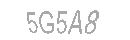 Güvenlik Kodu