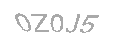 Güvenlik Kodu