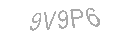 Güvenlik Kodu