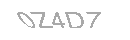 Güvenlik Kodu