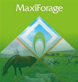 MAXI FORAGE